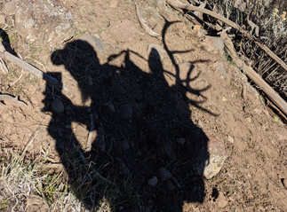 packing out elk shadow