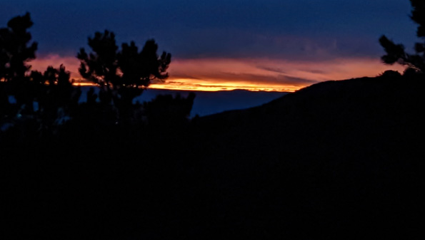 Colorado sunset over the cedars