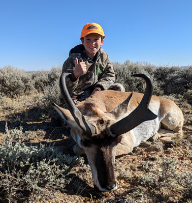 big buck antelope