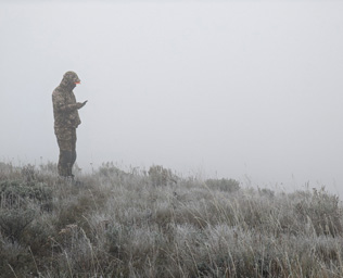 deer hunting in the fog