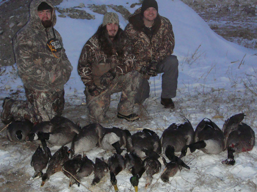 Canada geese, mallard ducks, wigeon ducks, greenhead mallard ducks