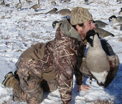 i went hunting Canada geese hunt, retriever with cold paws