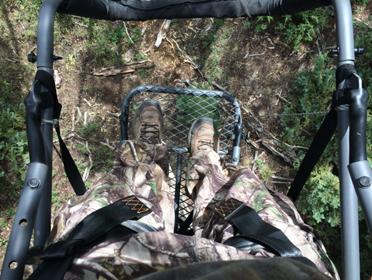 Archery hunting elk in treestand