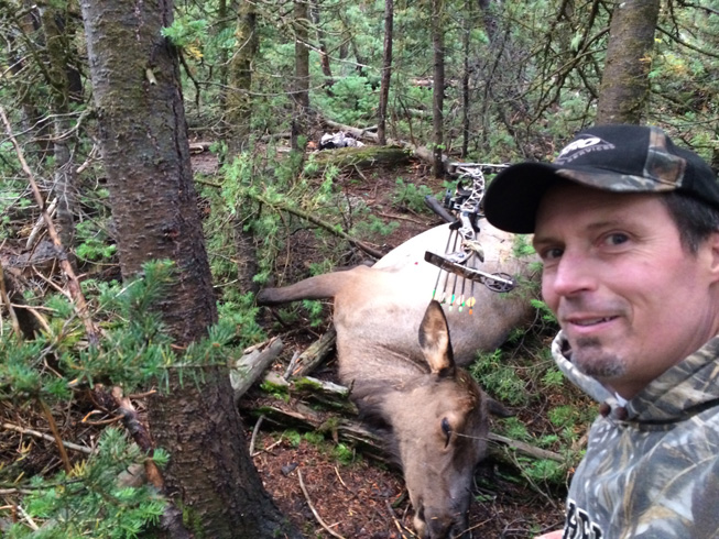 I went hunting elk, archery elk hunt