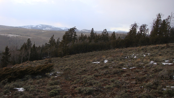 turkey hunting, snow capped mountains