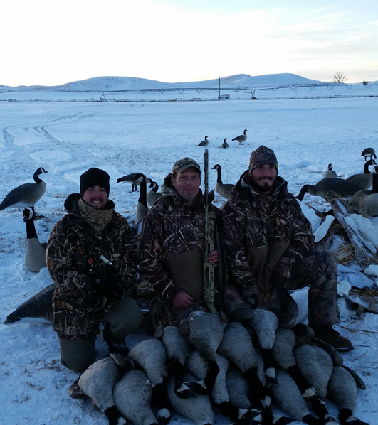 i went hunting geese, wyoming canada goose hunt