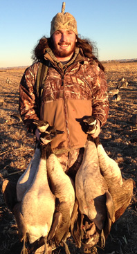 Wyoming canada goose hunt, bunch of Canada geese