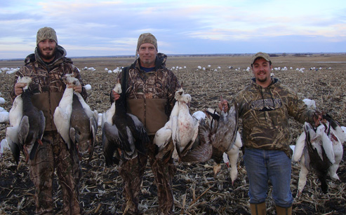 snow goose hunt south Dakota