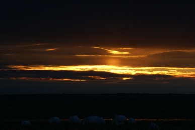 sunset, snow goose hunt South Dakota, sunset