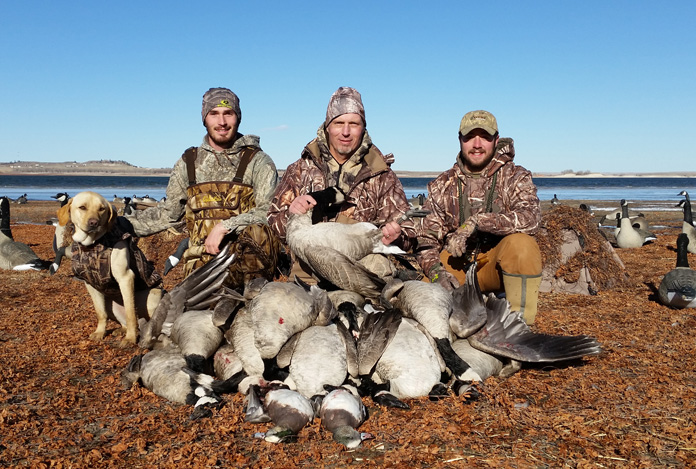 Limits of Canada geese and few ducks