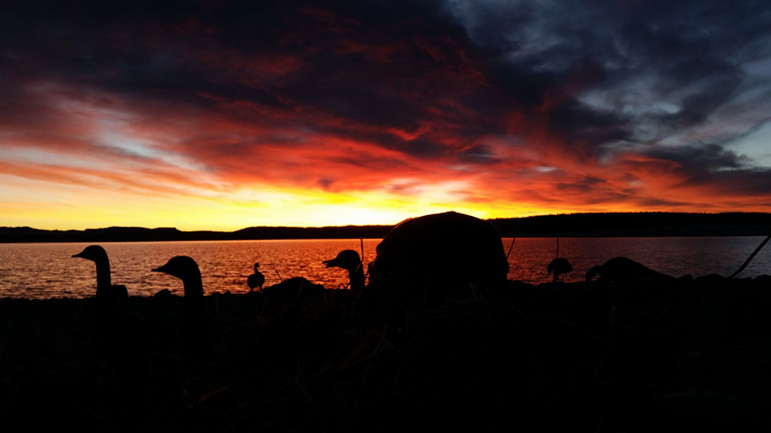 Canada goose hunt sunrise wyoming