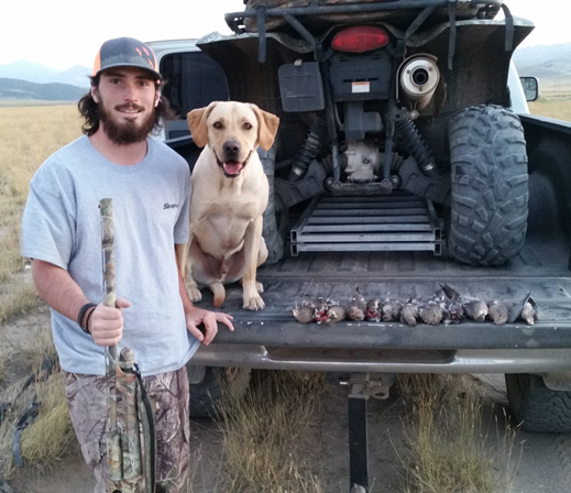 dove hunting with labrador