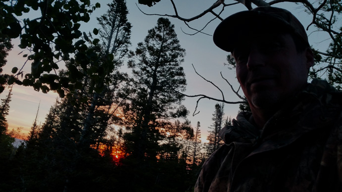 archery elk hunting, sunrise from tree stand