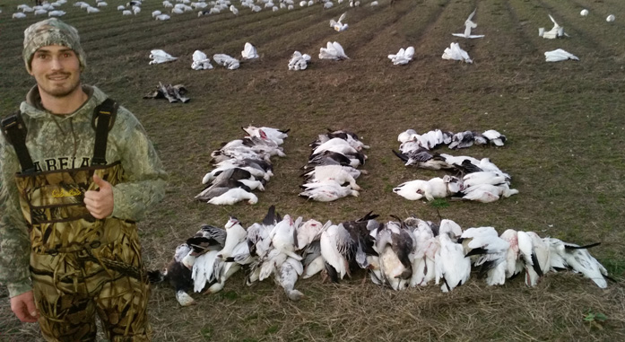 116 i went hunting snow geese, big pile of snow geese