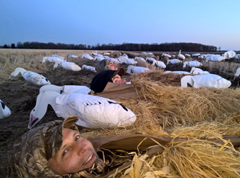 spring snow goose hunt in our ground blinds
