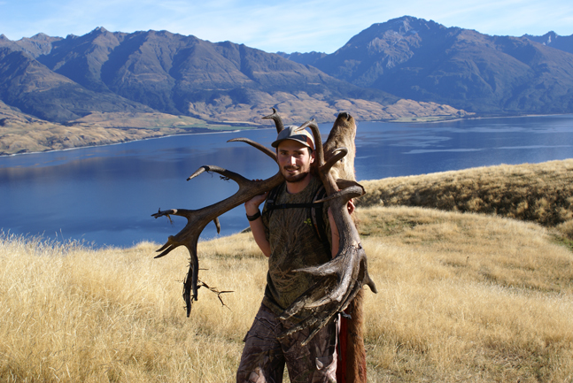 New zealand red stag