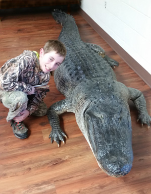 iwenthunting Arkansas alligator