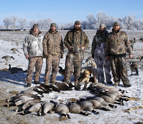 Canada goose hunting, limits of geese