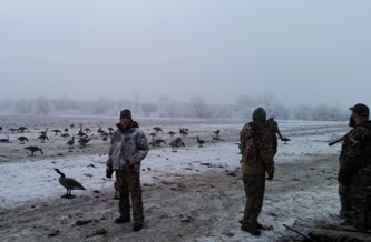 canada goose hunting, foggy morning