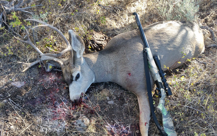 i went hunting muzzleloader deer, iwenthunting