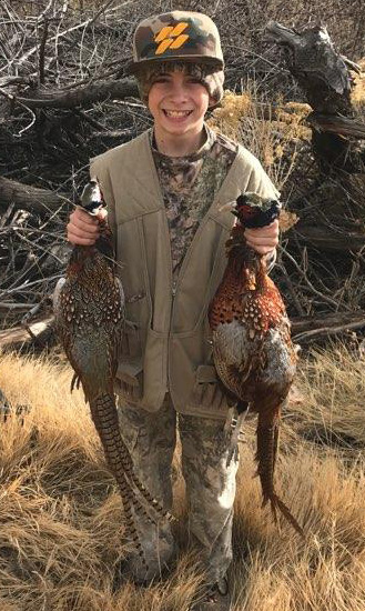 i went hunting pheasants, pheasant hunting