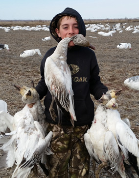 iwenthunting, i went hunting snow geese