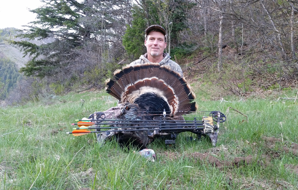 spring turkey with my bow and arrow