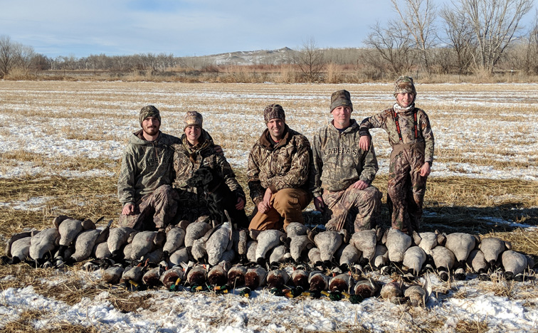 Limits of Canada geese and greenhead mallards