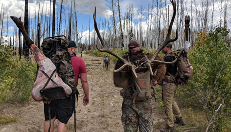 elk hunting packing out elk
