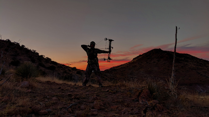 Coues deer hunt javelina hunt Sonoran desert