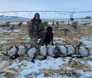 5 limits of Canada geese