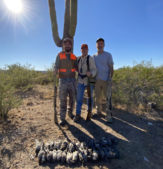 Saguaro cactus and quail