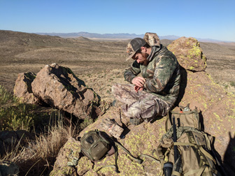 Coues deer hunting Sonoran desert