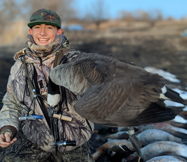 first banded goose