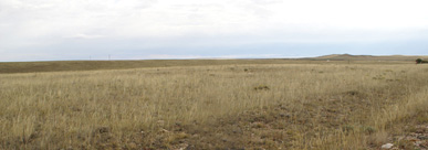 Laramie Wyoming, HMA pronghorn antelope hunt