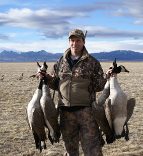 Limit of Canada geese, four honkers