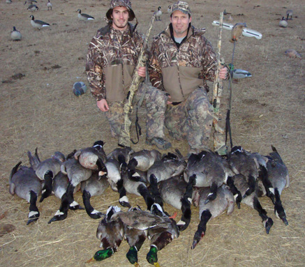limit of Canada geese, lesser geese, cackling geese, drake mallard duck, wigeon duck, greenhead duck