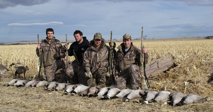 i went hunting geese, limit of geese