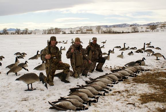 limit of Canada geese, best goose hunting in wyoming
