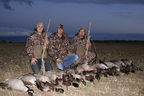 mallard ducks, canada geese, wyoming goose hunt