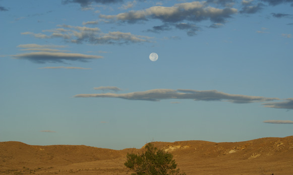 blue moon over wyoming horizon, archery deer hunt
