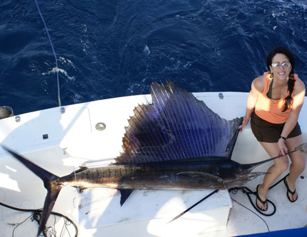 i went hunting sailfish caught in mexico, iwenthunting
