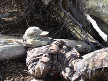 Hunting merriam's turkey, spring turkey hunt Utah