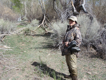 spring merriam's turkey hunt, southern utah