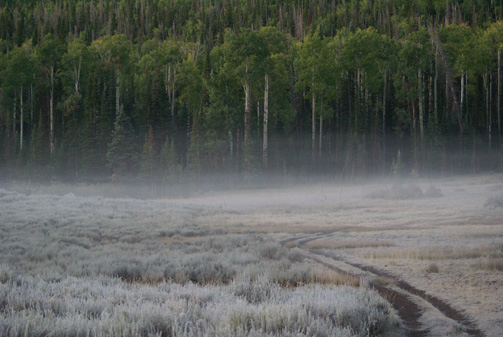 utah spike elk hunt, hard frost cold morning meadow