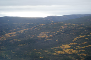 View from plane, Yukon