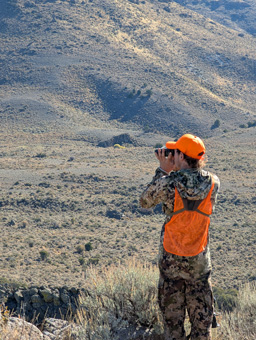 Glassing the vast nothingness glassing for deer