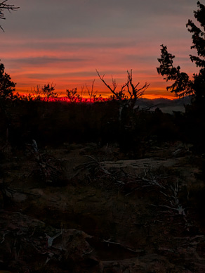sunrise