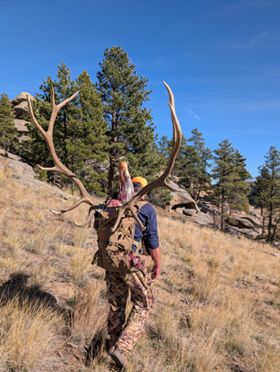 Getting ever closer to the ATVs hiking bull elk to ATV