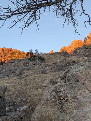 Hillside where bull was feeding way up the mountain Wyoming elk hunt